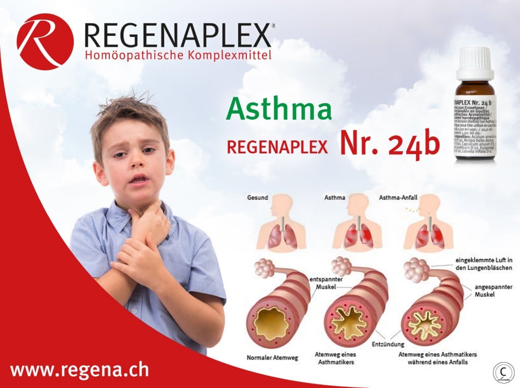 REGENAPLEX Nr 24b Asthma