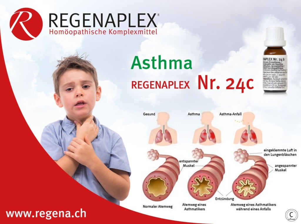 REGENAPLEX Nr 24c Asthma